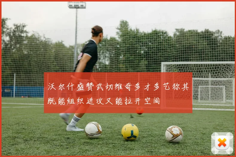 沃尔什盛赞武切维奇多才多艺称其既能组织进攻又能拉开空间