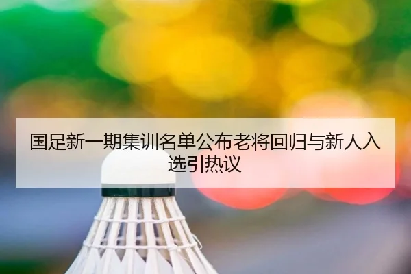 国足新一期集训名单公布老将回归与新人入选引热议